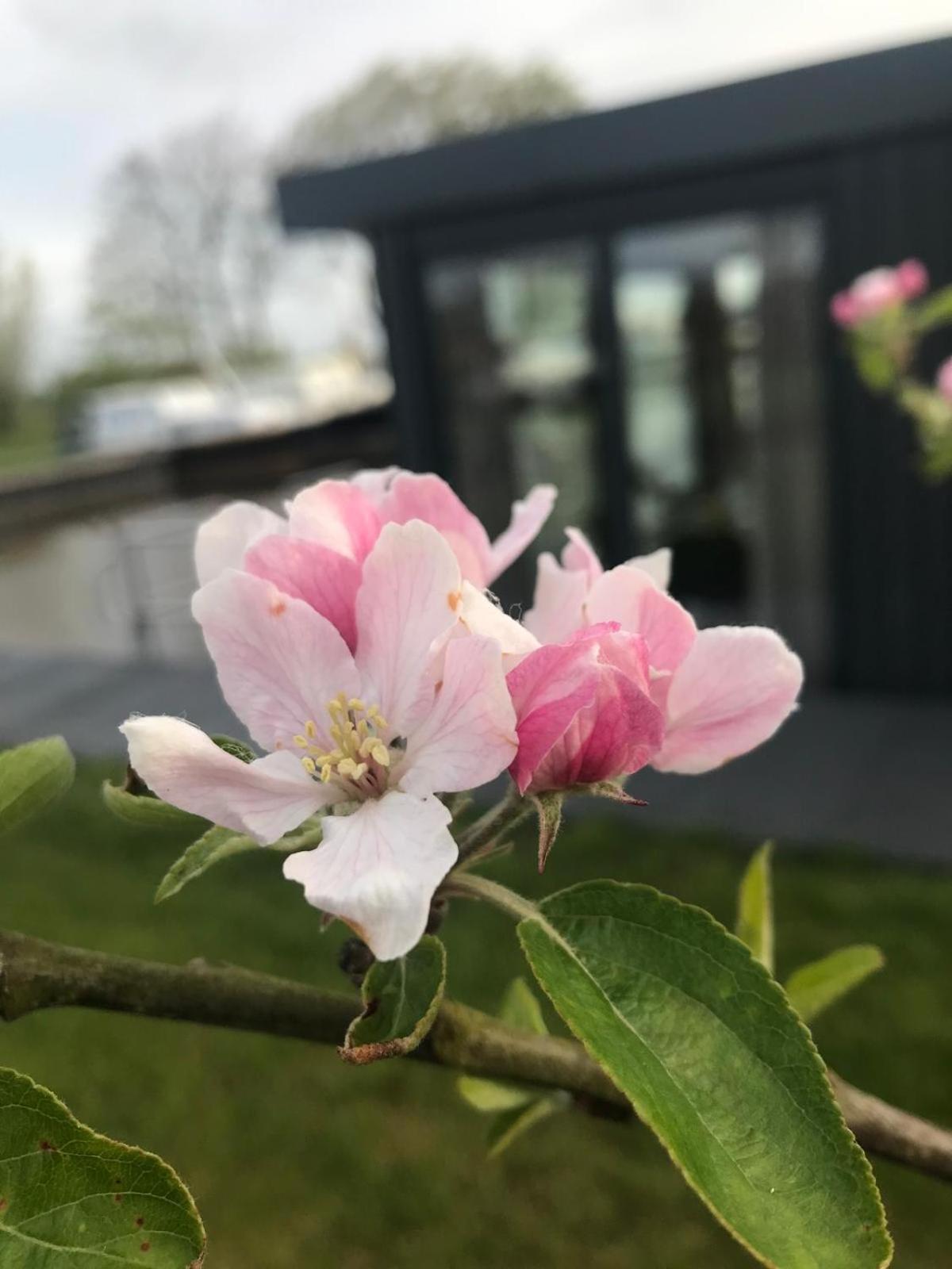 Uniek Overnachten In Een Tiny House Op De Appelhof Wommels Zewnętrze zdjęcie