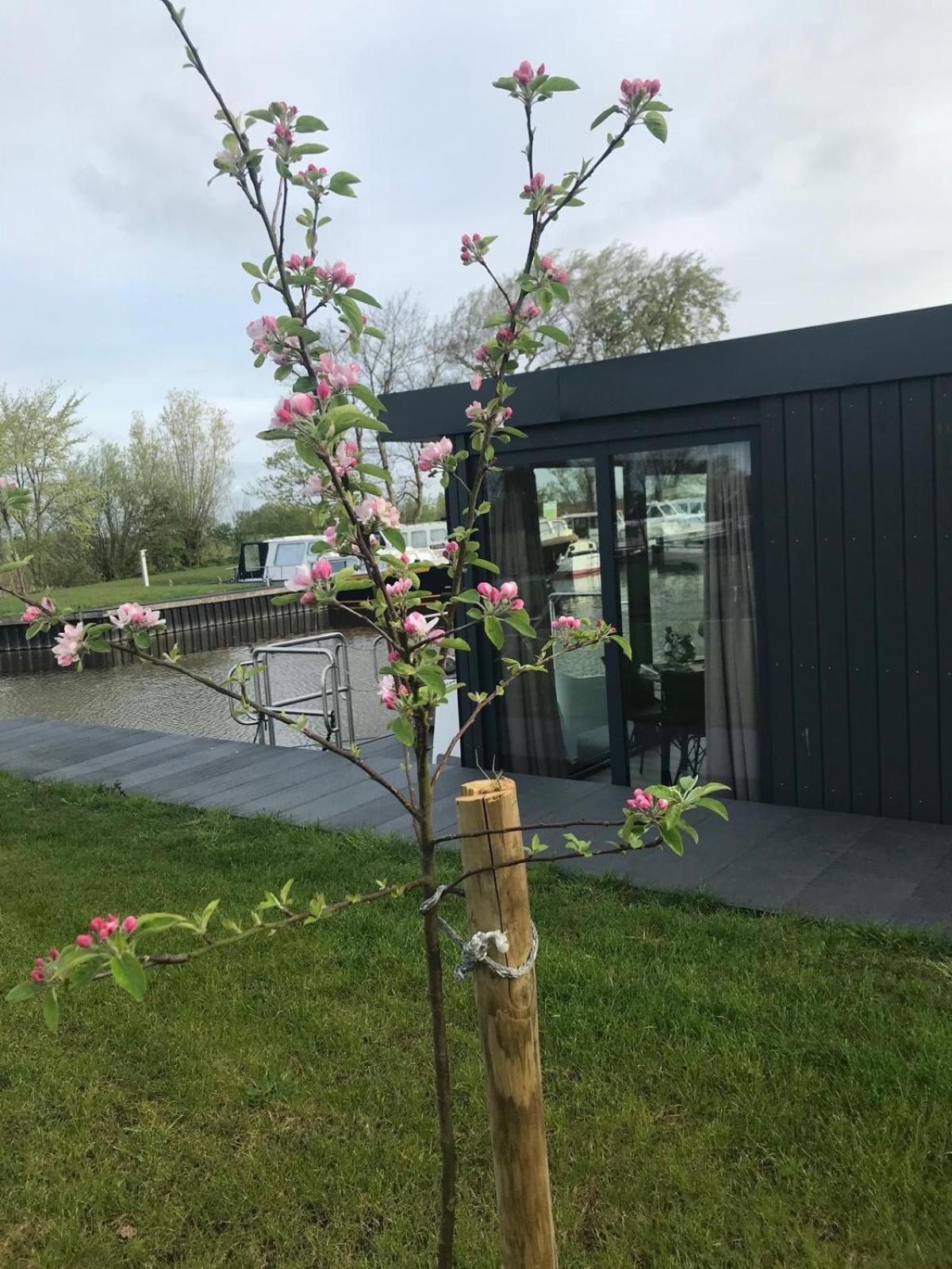 Uniek Overnachten In Een Tiny House Op De Appelhof Wommels Zewnętrze zdjęcie
